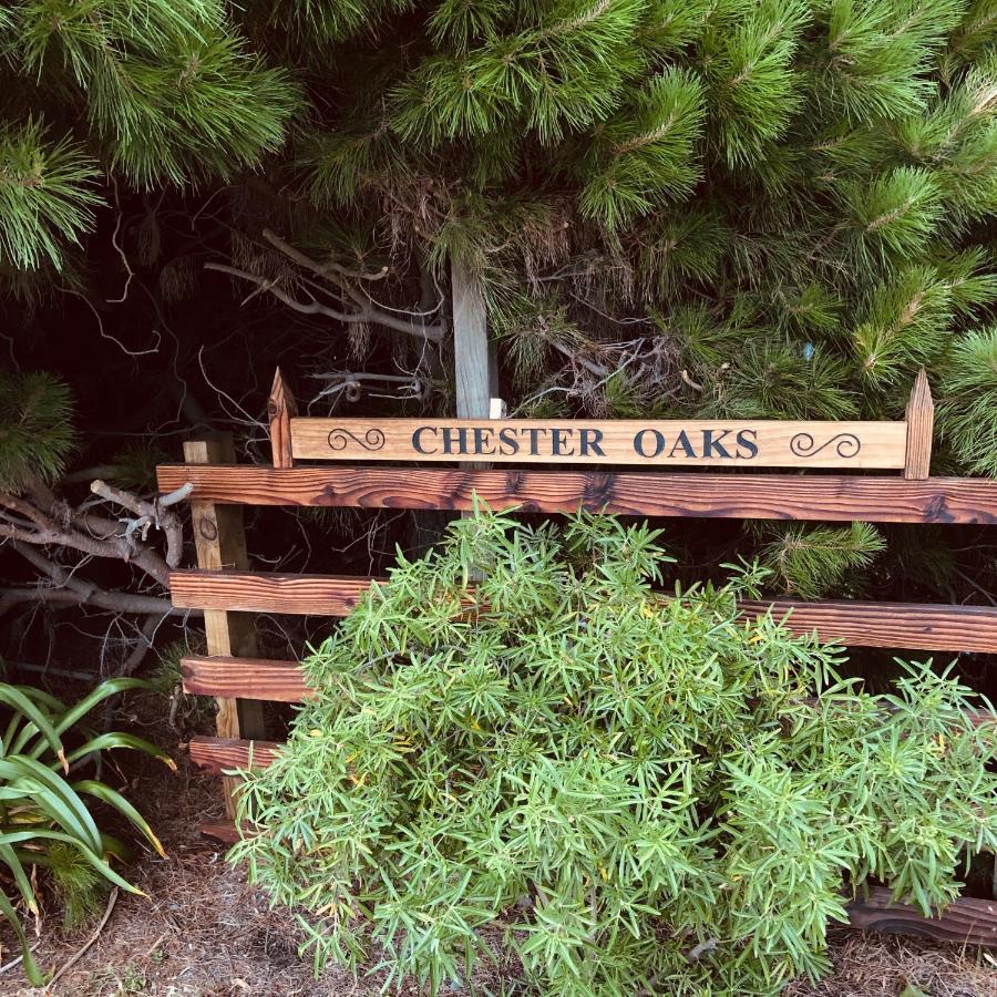 Chester Oaks B&B West Melton Ngoại thất bức ảnh