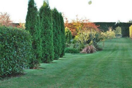 Chester Oaks B&B West Melton Ngoại thất bức ảnh